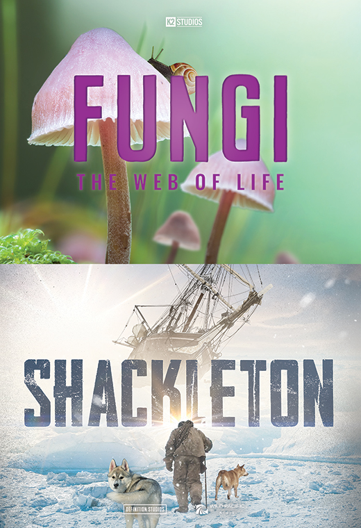 Fungi:The Web of Life plus Shackleton